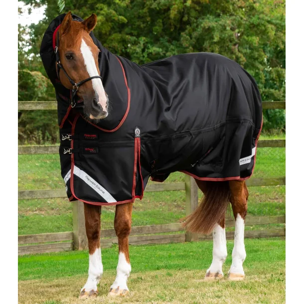 Titan 420g Turnout Rug with Snug-Fit Neck Cover